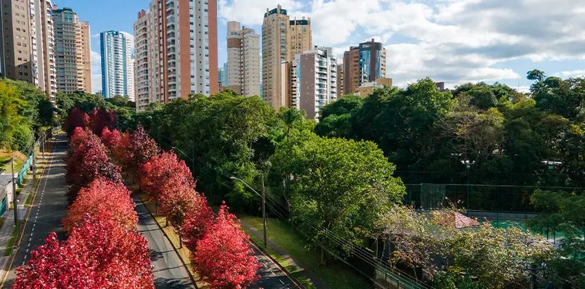 Descubra o encanto de morar em Santa Felicidade, Ecoville e Campo Comprido: Três tesouros de Curitiba escolhidos pela Casteval Construtora 